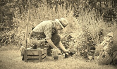 Alter Mann bei der Gartenarbeit
